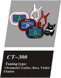 CT-300
